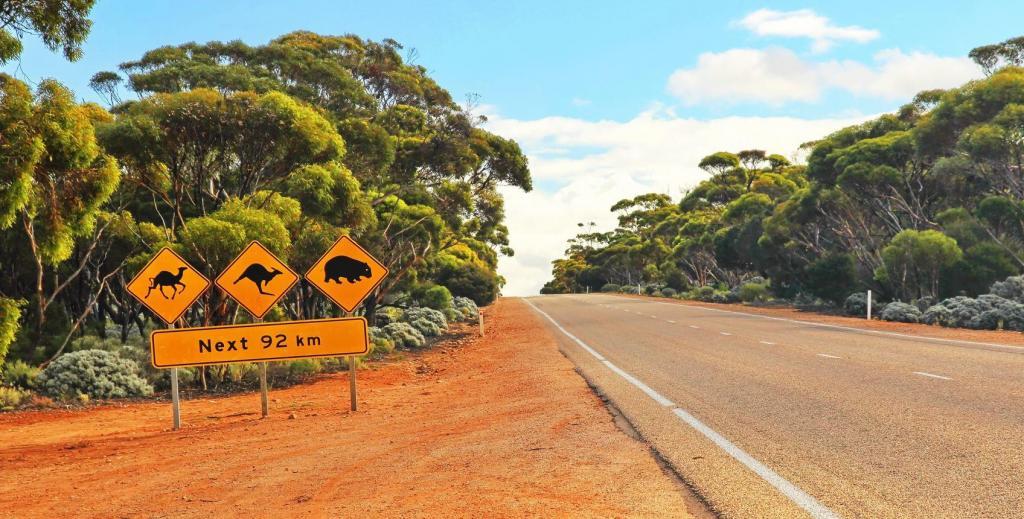 How to plan an Australian road trip