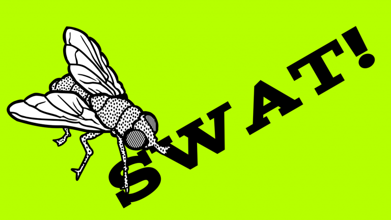 swat an insect